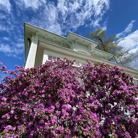 Bloom Farm Guesthouse Mount Vision Exterior photo